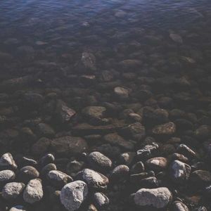 Meet your Posher, Cody